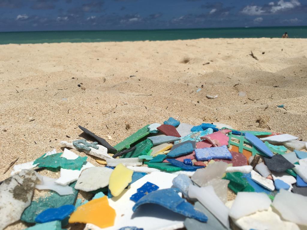 Día internacional de la limpieza de playas: ¿Cuánto sabes de los microplásticos?
